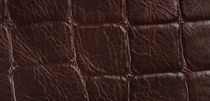 leather wallcovering DRACO PAMPATILES