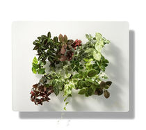 living art frame DIVA VERTILIGNES