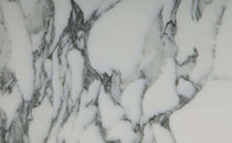 marble tile ARABESCATO CARRARA Dalski Stone Gallery