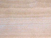 marble tile WOOD FOSSIL Dalski Stone Gallery