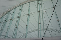 membrane-cable tensile structure  Signature Structures LLC