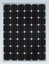 monocrystalline photovoltaic solar panel SF156&times;156-48-M Zhejiang Sunflower Light Energy Science & Technology Limited Liability Company 