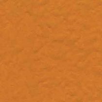 natural clay paint (for interior) BURNT Bioshield