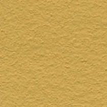 natural clay paint (for interior) DACAR Bioshield
