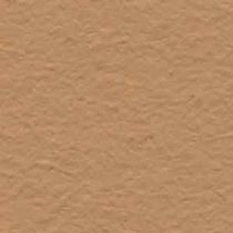 natural clay paint (for interior) AMAZONE Bioshield