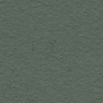 natural clay paint (for interior) GINGKO Bioshield