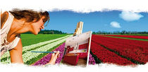 natural decorative paint  Laboratoires Natura