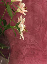 natural decorative plaster (for exterior, stuc finish) VENEZIAN Durga