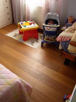 natural lacquer paint linseed and tung oil based (for wood and metal) DUROIL Durga