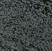natural stone floor tile SNOWFLAKE OBSIDIAN LimeStone Gallery