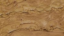 natural stone tile PICTURE Marmi di Carrara