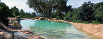 natural swimming pool  WATERWORLD