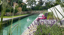natural swimming pool (lap pool) THE LIVING-POOL BIOTOP Landschaftsgestaltung GmbH