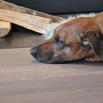oak solid wood flooring STONEWASHED COLLECTION : SAND BOEN PARKETT
