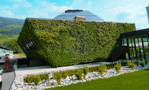 outdoor green wall WALL GARDEN Optigreen