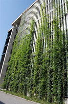 outdoor green wall  MMA Architectural Systems Ltd 