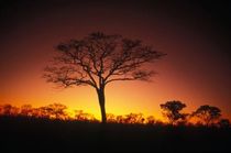 personalized wallpaper NAMIBIA NIGHT SKY Juicywalls GbR