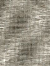 plain fabric NEW CLASSICS : ALLOY POLLACK