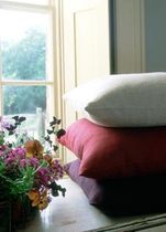plain silk fabric PALIO SILKS ZOFFANY