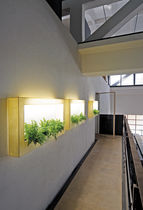 planter TV by Fabio Bortolani Teracrea