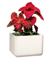 planter for public spaces R101007 Peter Pepper Products