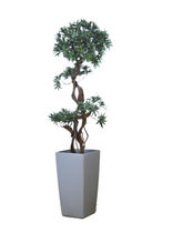 planter for public spaces PODOCARPUS ISKU