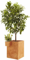 planter for private and public spaces MATERNITY by Jean-Fran&ccedil;ois D'Or  Ligne Roset France