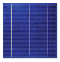 polycrystalline photovoltaic cell 156 (CA50-L) Sunways Photovoltaic Technology