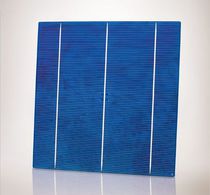 polycrystalline photovoltaic cell Q6LPT3 - G2 Q.cells