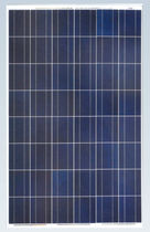 polycrystalline photovoltaic solar panel SF125&times;125-72-M Zhejiang Sunflower Light Energy Science & Technology Limited Liability Company 