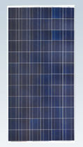 polycrystalline photovoltaic solar panel SF156&times;156-72-P Zhejiang Sunflower Light Energy Science & Technology Limited Liability Company 