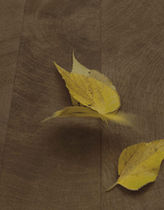 porcelain stoneware floor tile: wood look WOOD AGE Walker Zanger