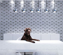 porcelain stoneware tile EMOTILE : IMAGEN STANDARD  Ceracasa Ceramica
