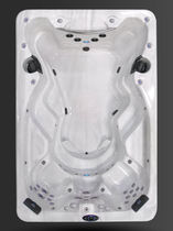 portable swim spa F 1239 Cal Spas