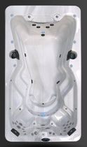 portable swim spa F 1439 Cal Spas