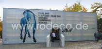 printed polycarbonate lightweight sheet  rodeca