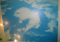 printed stretch ceiling ART Vecta Design Ltd.