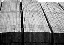 production management software TIMBER Cosinus