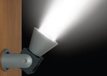 round wall mounted halogen spotlight (adjustable) CAM-PAR Rayhouse