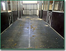 rubber flooring for stable EQUINE ALL PURPOSE MATS Flexitec