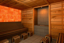 sauna RUSTIC Inviion
