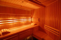 sauna  DYNAMIKA