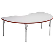 school desk ACTIVITY KIDNEY KI