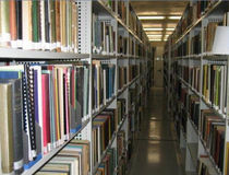 shelf for library  Bruynzeel