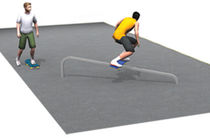 skatepark rail RP752 Record RSS