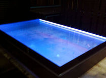 skylight LED FLUSHGLAZE SKYLIGHT GLAZING VISION