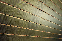 sound absorption panel (wood imitation) SCREENBALL&reg;: IGUANA PREAM s.r.l