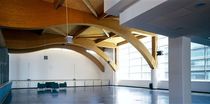 special shaped glulam timber beam  HABITAT LEGNO