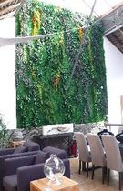 stabilized plant green wall  LOTUS