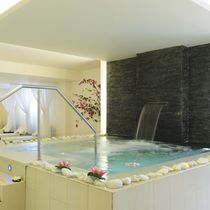 stainless steel hot-tub with built in fountain  Freixanet Saunasport